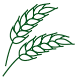 green wheat icon