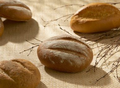 Bolillo_and_Telera_Group